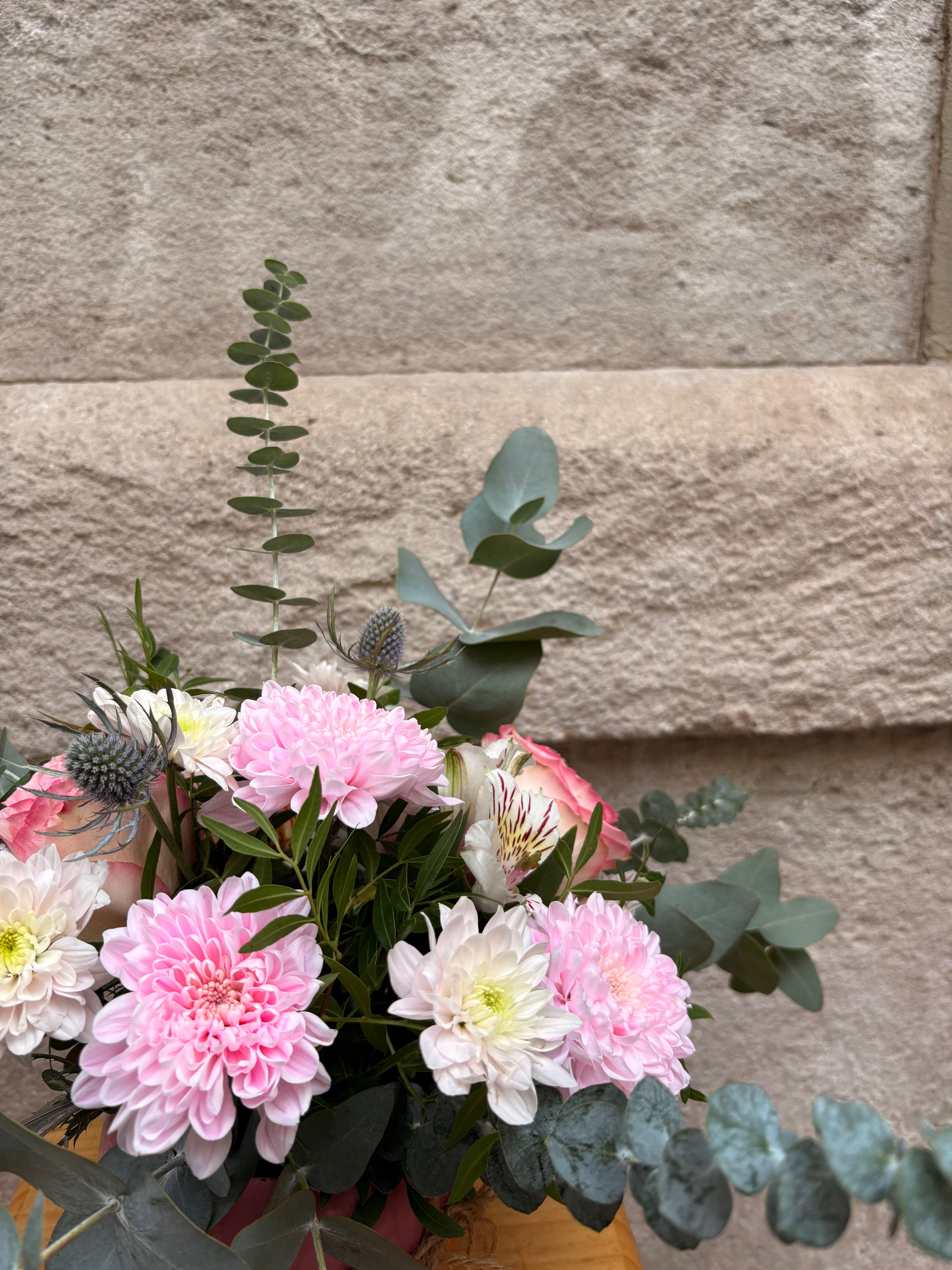 Centro Rosa Delicado